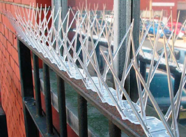 Tepi impotriva pasarilor, plastic, banda cu tepi antipasari