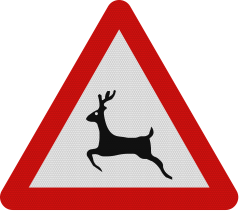 Animale (salbatice), Indicator rutier | Semn de circulatie