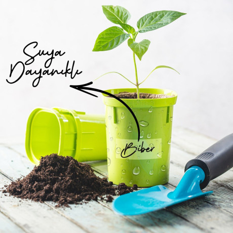 Benzi adezive transparente, waterproof, organizare, 30 buc, 5 x 8cm