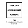 Cu exceptia autovehiculelor autorizate, Indicator rutier | Semn de circulatie